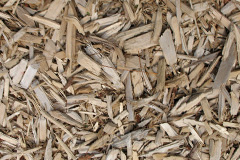 biomass boilers Reedness