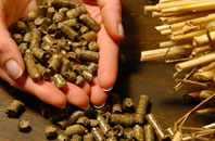 free Reedness biomass boiler quotes